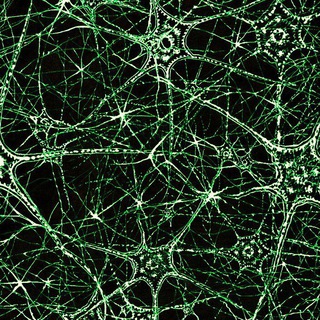 Логотип @metamikelio - МИ[Z]ЕЛИЙ