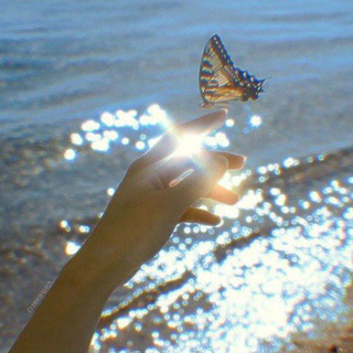 Логотип @metamorfosis - 𝚖𝚎𝚝. 𝚊𝚖𝚘𝚛. 𝚏𝚘𝚜𝚒𝚜