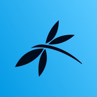 Логотип @metamorphosis_socialfi - Metamorphosis - Social Fi