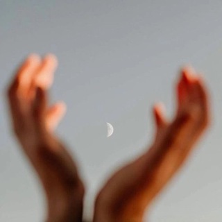 Логотип @metanoia_in - metanoia