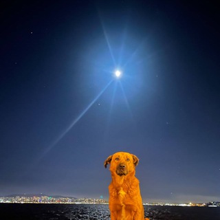 Логотип @meteorit2025 - метеорит 2025