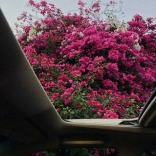Логотип @metidam - mètidam