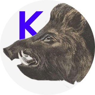 Логотип @metnul - Метнулся кабанчиком