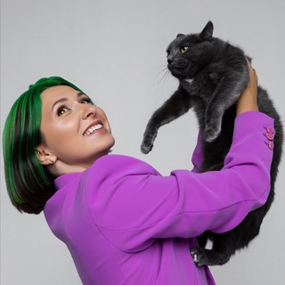 Логотип @metodmayer - Метод Майер: груминг кошек