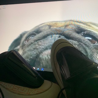 Логотип @metropolicejk - полиция метро