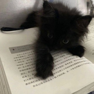 Логотип @metuerrr - haunted