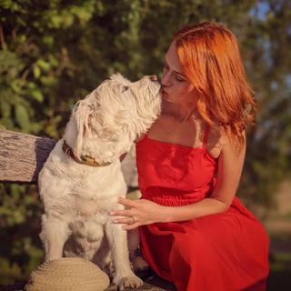 Логотип @mex_the_superdog - Mex_the_superdog