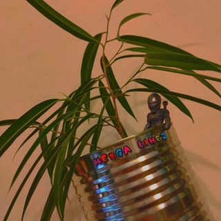 Логотип @mezgalin - Mezga