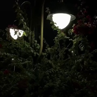 Логотип @mf6o7za61si3odri - Книга напоминание.