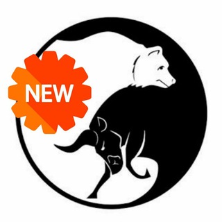 Логотип @mfxcg - Trading Community