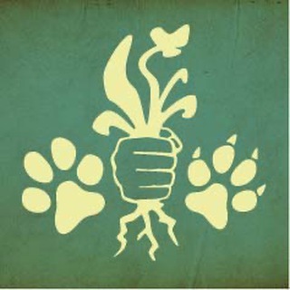 Логотип @mg_hund_katze - Mission: Gesundheit - Hund & Katz