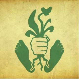 Логотип @mg_mensch - Mission: Gesundheit - Mensch