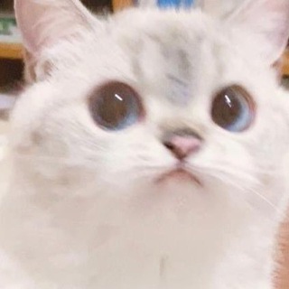 Логотип @mgsliv2021chat - беседка