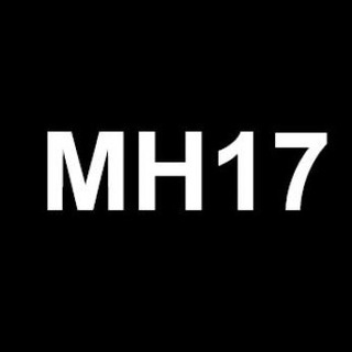 Логотип @mh17nl - MH17