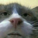 Логотип @mhorocmexa - shitposting