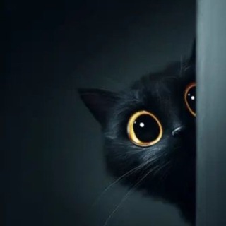 Логотип @mi0wlist - Miow