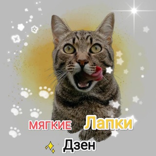 Логотип @miagkielapki - Мягкие лапки🐈🐾