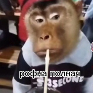 Логотип @miayyykadzy - продается