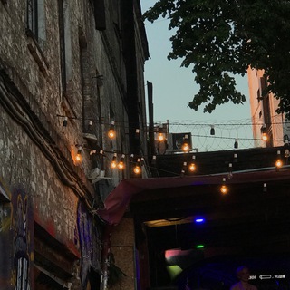 Логотип @miceandconcerts - Mice and Concerts