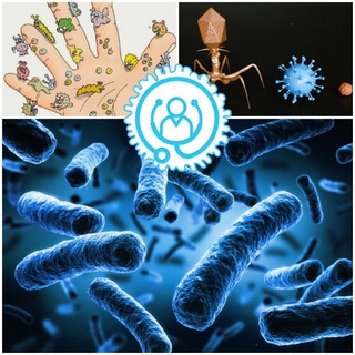 Логотип @microbilogiya_mp - Микробиология и Иммунология