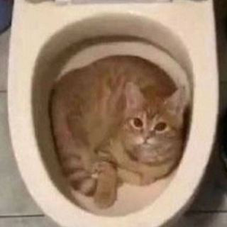 Логотип @microceli - микрочелы🍪