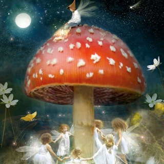 Логотип @microdozmyx - ЕЖОВИК МУХОМОРЫ МИКРОДОЗИНГ