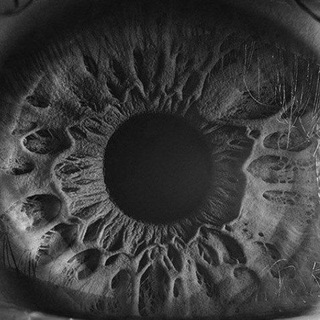 Логотип @micromicromir - микромир🔬