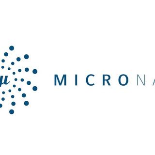 Логотип @micronaut_id - Micronaut Indonesia