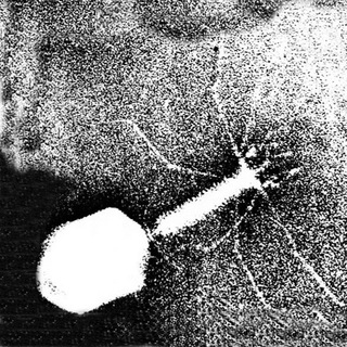 Логотип @microscopic - Микроскопия в движении