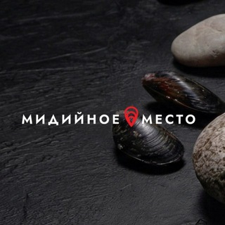 Логотип @midiinoe_mesto_russia - МИДИЙНОЕ МЕСТО Россия