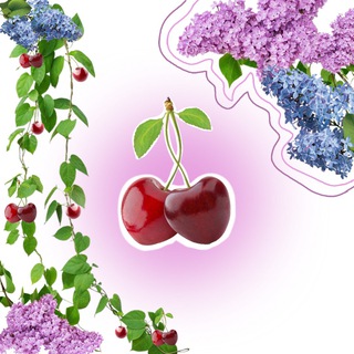 Логотип @miebashimgeru - Летние будни на пару