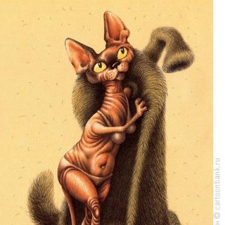 Логотип @mifyilegendy - Верхняя одежда по адекватным ценам