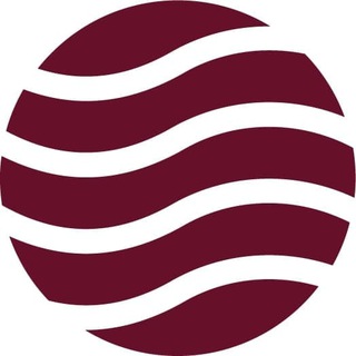 Логотип @migronis_citizenship - Migronis. Агентство по гражданству