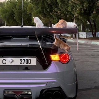 Логотип @miiieee_1 - mie