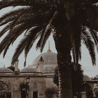 Логотип @miisssi - miisssi