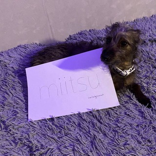 Логотип @miitsuondrip - miitsu