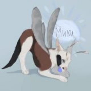 Логотип @miki_mav - Мики