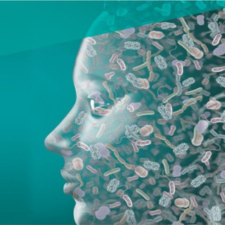 Логотип @mikrobiouz - 🔬Микробиота. ХМС по ОСИПОВУ