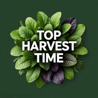 Логотип @mikrozelen_tsaritsyno - Микрозелень в ЖК Царицыно🌱