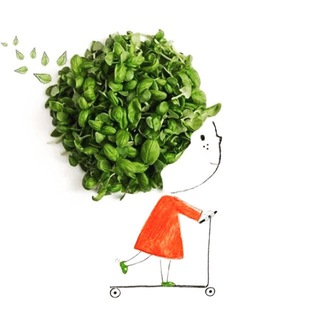 Логотип @mikrozelensbp - Микрозелень СПБ Канал