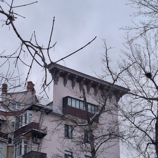 Логотип @mikudayyo - мацутакэ .`⋆ˑ ִֶ