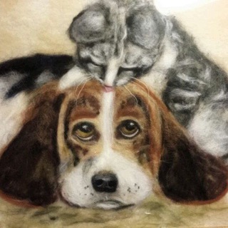 Логотип @mildryg - АНО Зооцентр Милый друг