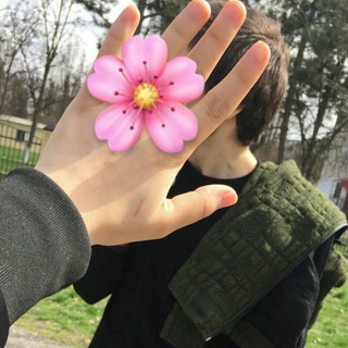 Логотип @miliamo_11 - Miliamo🦋✨