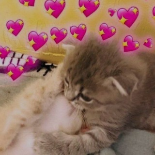 Логотип @milie_pikch - Милые пикчи (и не очень)