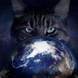 Логотип @miliepushistiki - ...