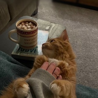 Логотип @miliiisss - miliisss