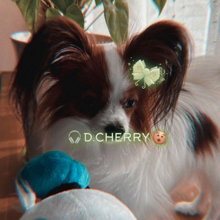 Логотип @milisa_grey - 𓆩𝑫.𝑪𝑯𝑬𝑹𝑹𝒀𓆪