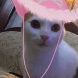 Логотип @milkinsjuli - группа дебилов💋