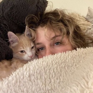 Логотип @milksieee - пушистая коша