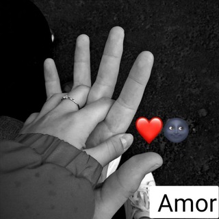 Логотип @millennium08 - AMOR🐾